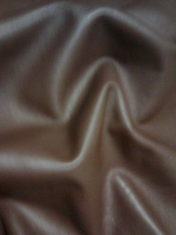 Manufacturers Exporters and Wholesale Suppliers of Nappa Finish Leather 02 New Delhi Delhi
